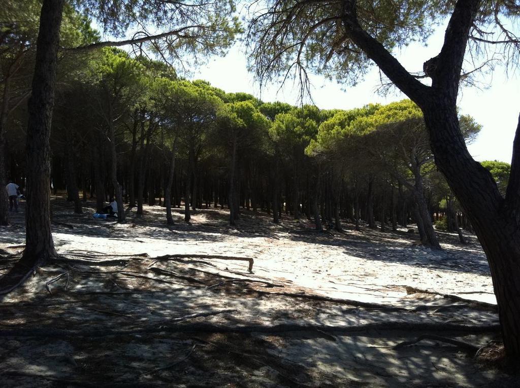 Case Vacanze Budoni Beach Room photo
